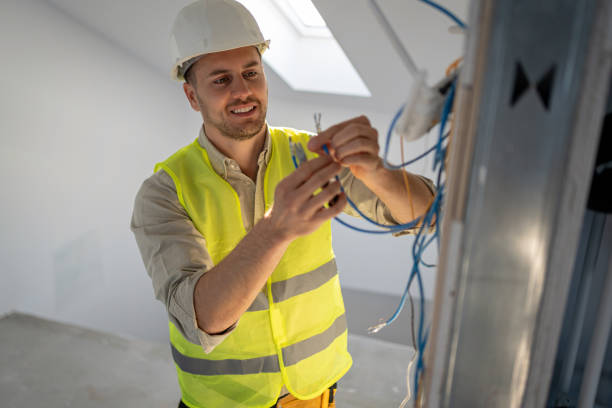 Best Electric Panel Repair  in Lone Oak, TN